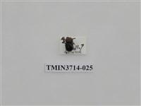 藏品(金龜子科)的圖片